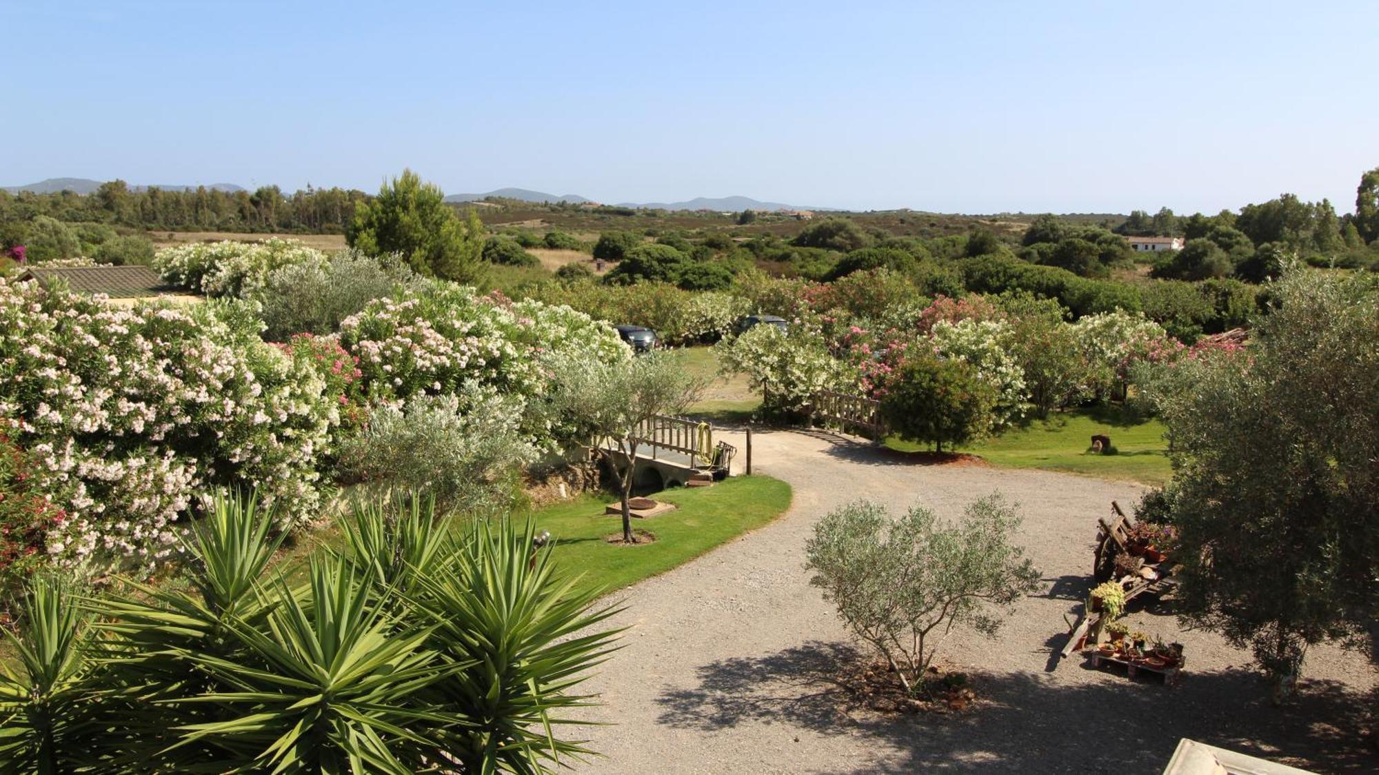 Casa Vacanze Giovanna Sant'Anna Arresi Eksteriør billede