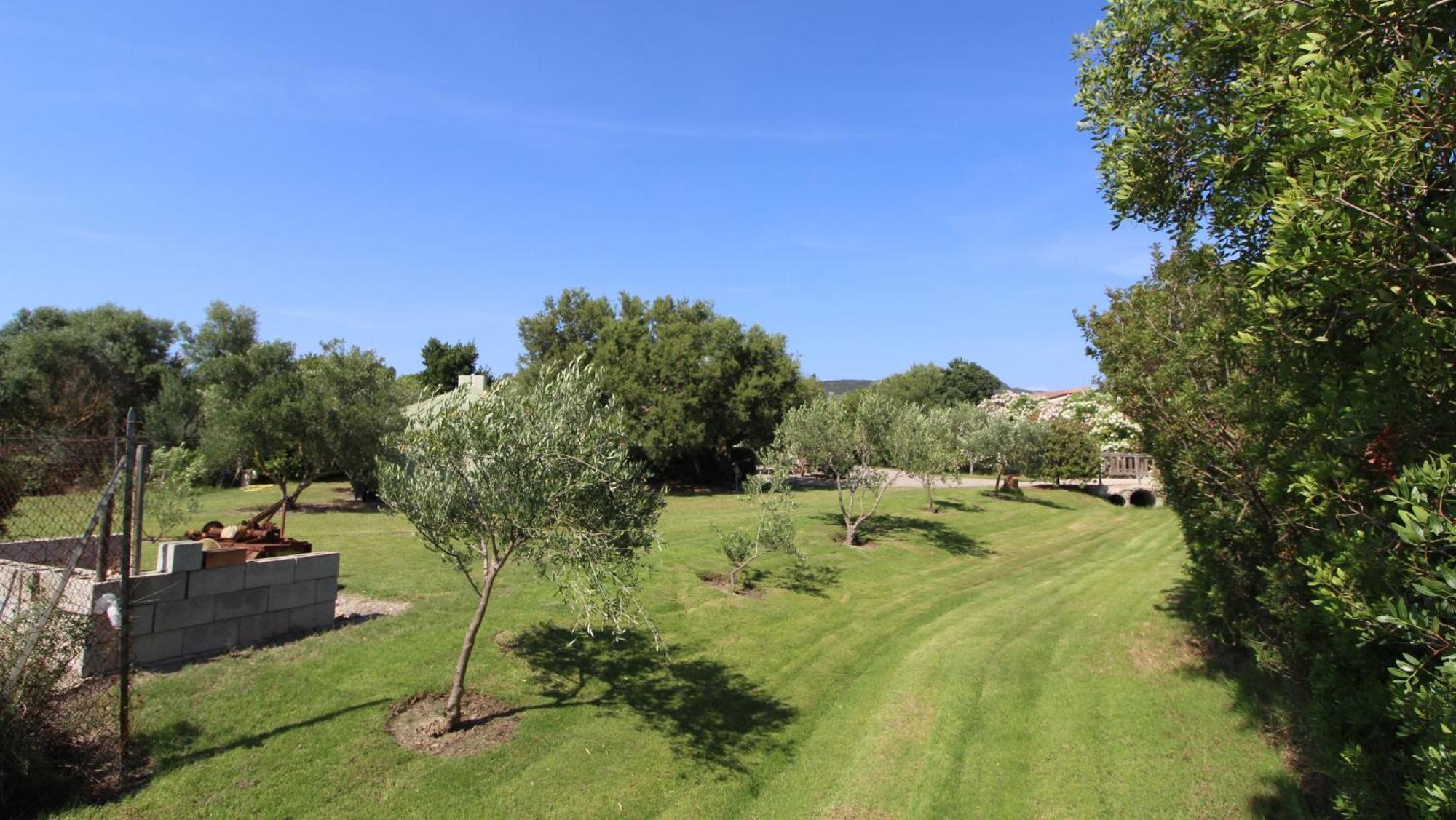 Casa Vacanze Giovanna Sant'Anna Arresi Eksteriør billede
